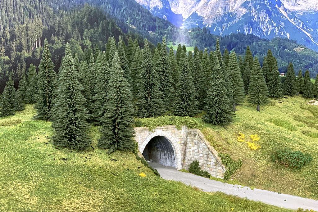 Foresta alpina